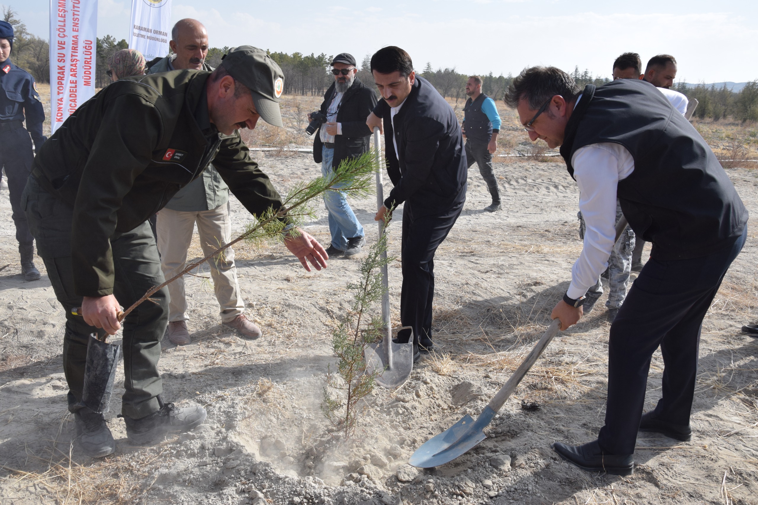 Eb3Cca45 C7Eb 4D29 86Dd 7796B383A987