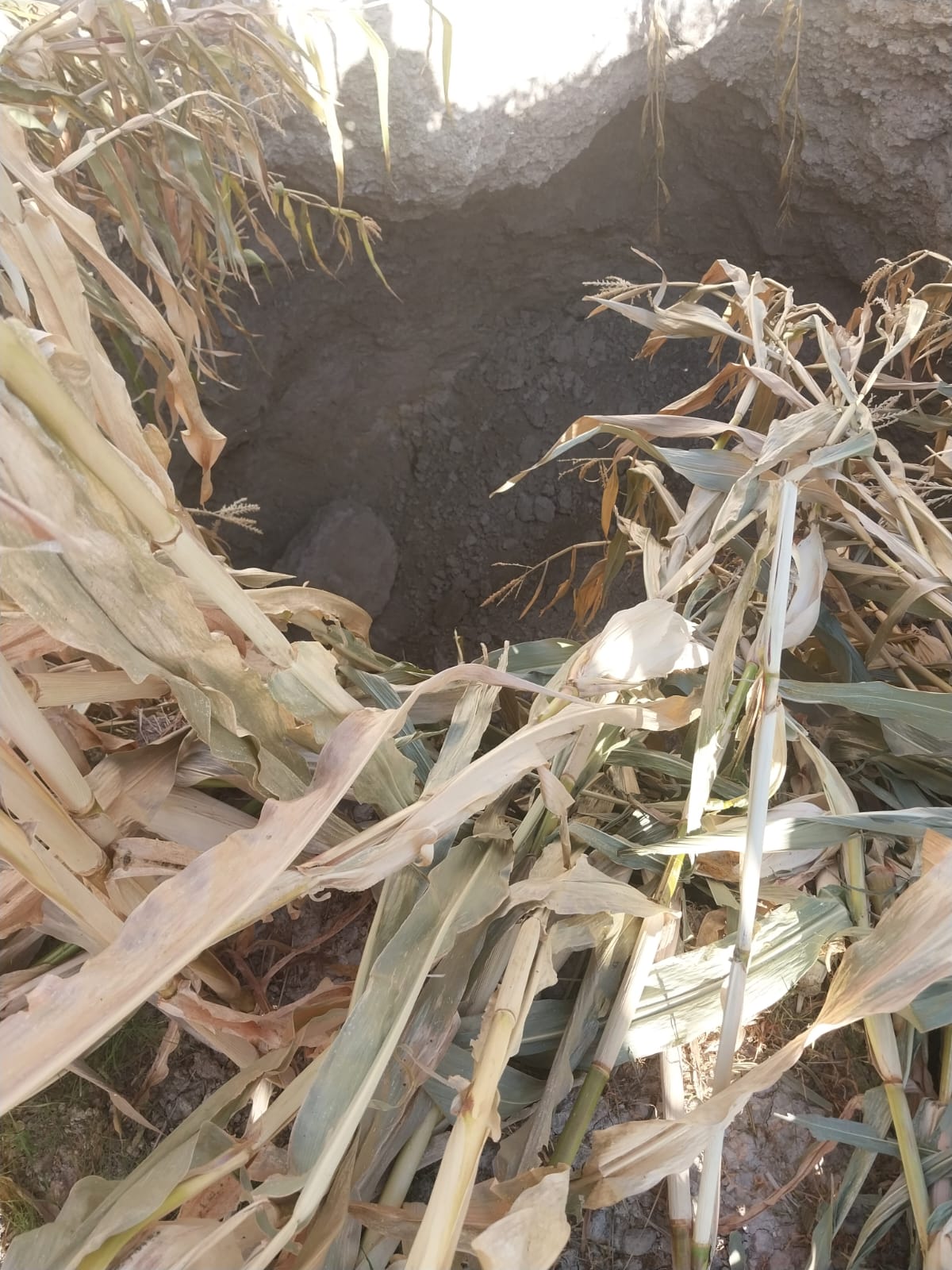 Whatsapp Image 2025 11 05 At 14.27.03