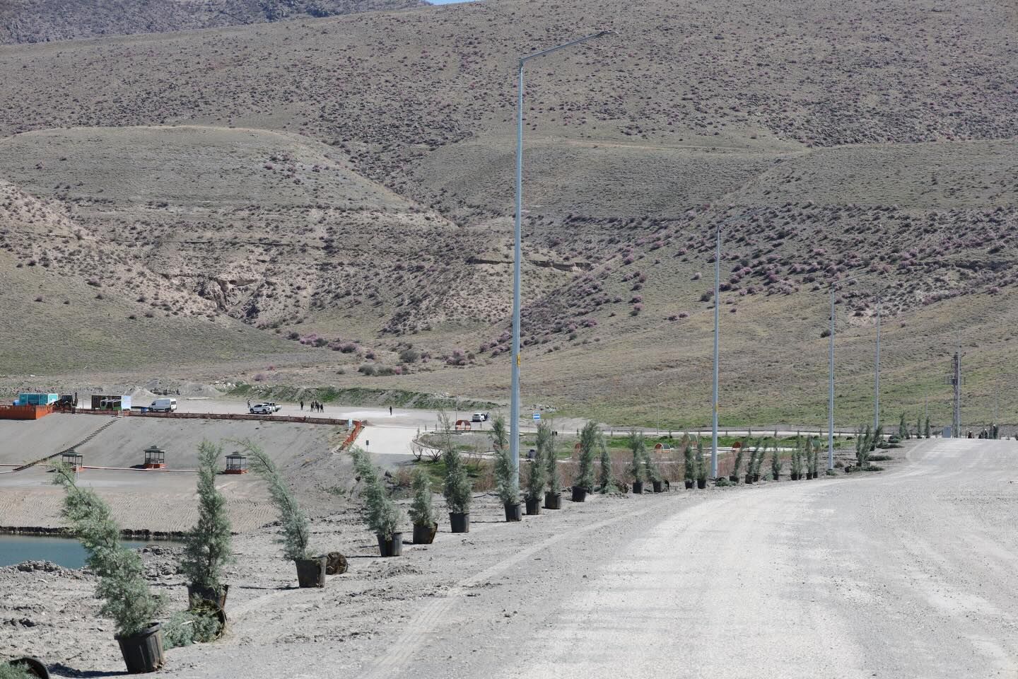 657940716 17954505930102050 7941983828507093050 N