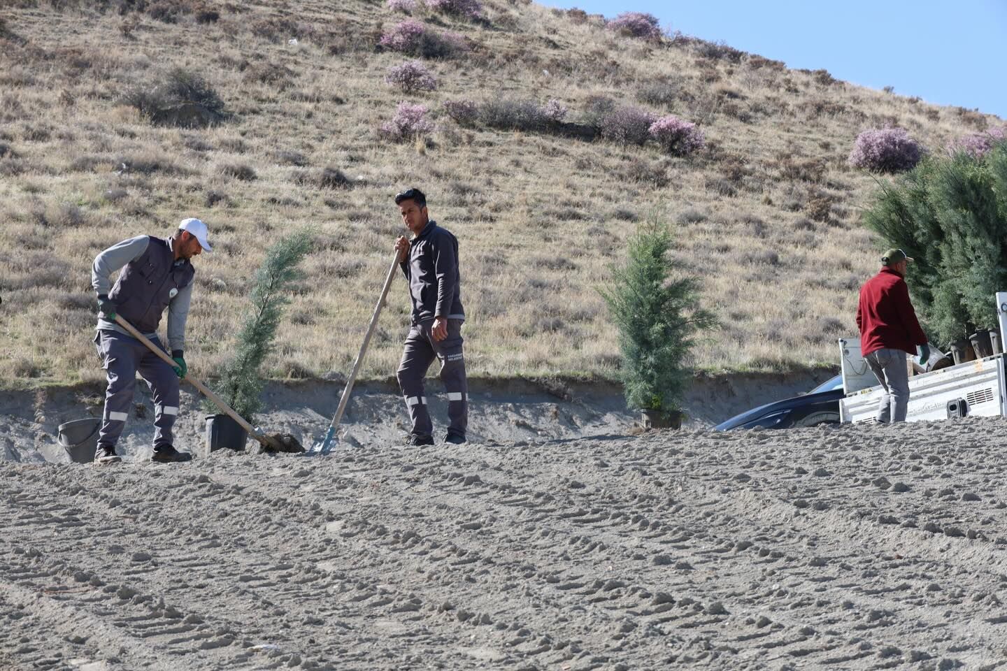 658281995 17954505921102050 3705951729815777098 N