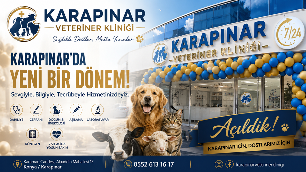 Chatgpt Image 20 Ağu 2026 12 11 43